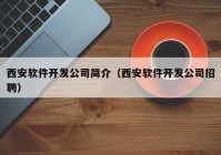 西安软件开发公司简介（西安软件开发公司招聘）
