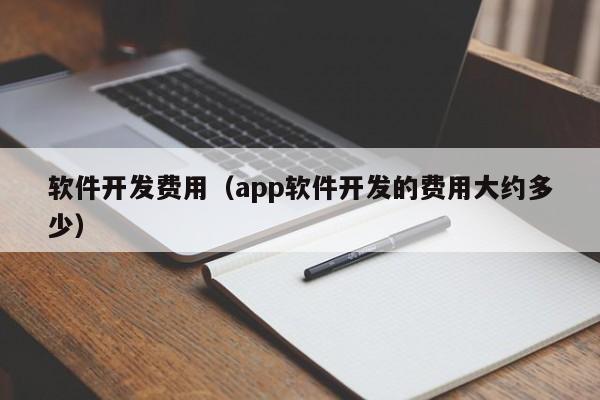 软件开发费用(app软件开发的费用大约多少)