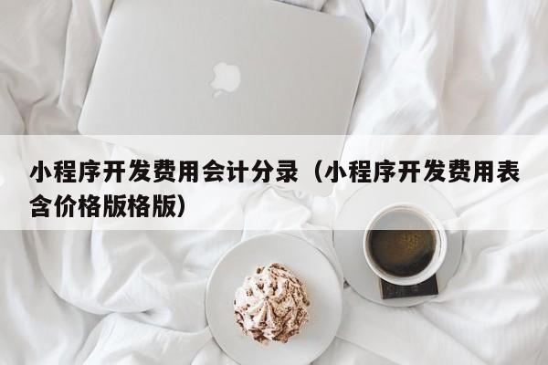 小程序开发费用会计分录(小程序开发费用表含价格版格版)