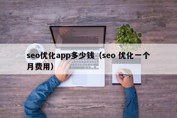 seo优化app多少钱(seo 优化一个月费用)