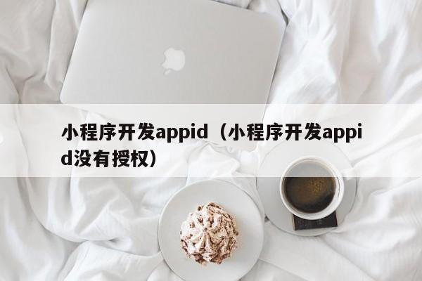 小程序开发appid(小程序开发appid没有授权)