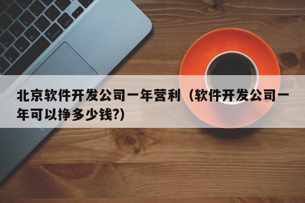 北京软件开发公司一年营利(软件开发公司一年可以挣多少钱?)