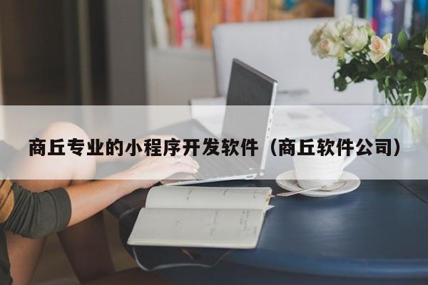 商丘专业的小程序开发软件(商丘软件公司)