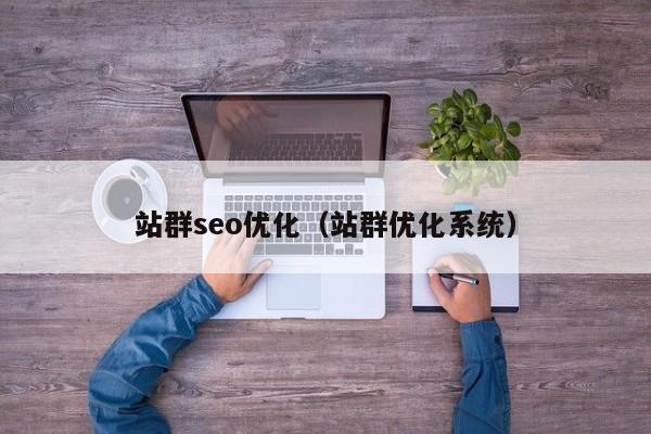 站群seo优化(站群优化系统)