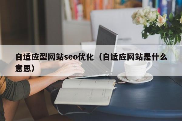 自适应型网站seo优化(自适应网站是什么意思)