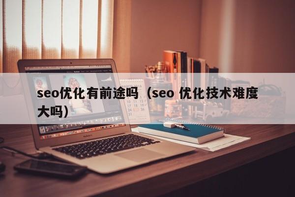 seo优化有前途吗(seo 优化技术难度大吗)
