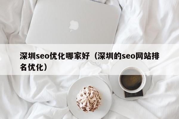 深圳seo优化哪家好(深圳的seo网站排名优化)