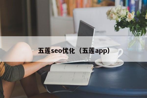 五莲seo优化(五莲app)