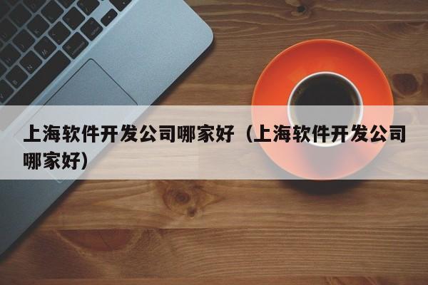 上海软件开发公司哪家好(上海软件开发公司哪家好)
