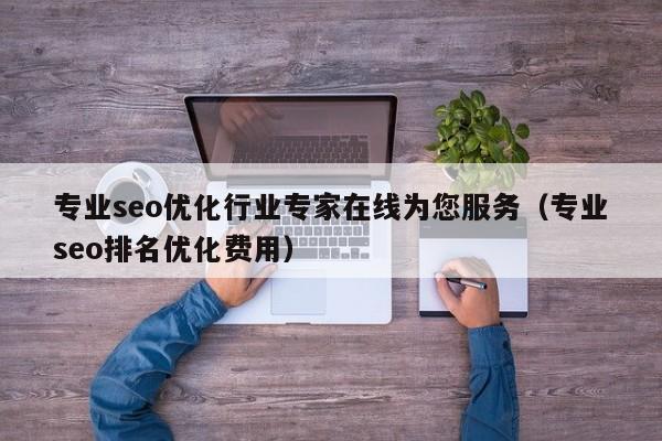 专业seo优化行业专家在线为您服务(专业seo排名优化费用)