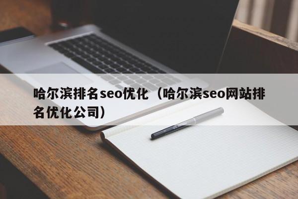 哈尔滨排名seo优化(哈尔滨seo网站排名优化公司)