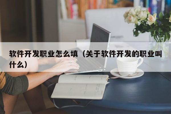 软件开发职业怎么填(关于软件开发的职业叫什么)
