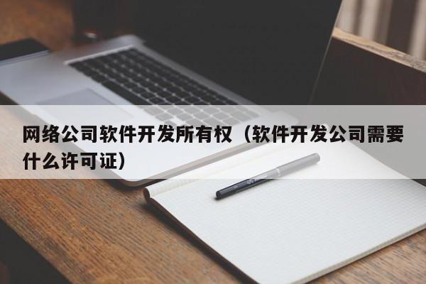 网络公司软件开发所有权(软件开发公司需要什么许可证)