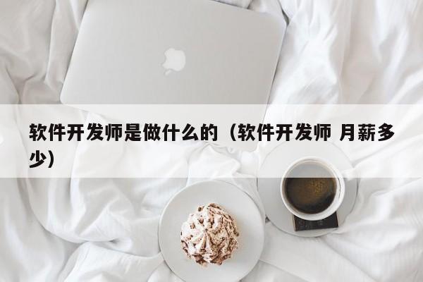 软件开发师是做什么的(软件开发师 月薪多少)