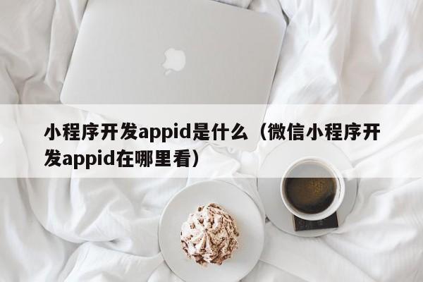 小程序开发appid是什么(微信小程序开发appid在哪里看)