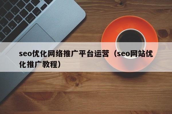 seo优化网络推广平台运营(seo网站优化推广教程)