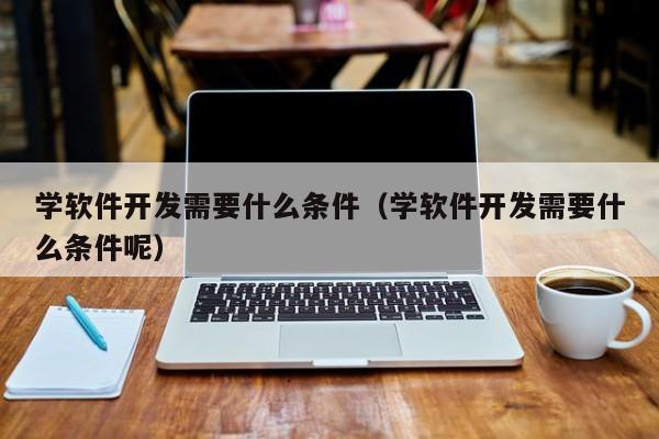 学软件开发需要什么条件(学软件开发需要什么条件呢)