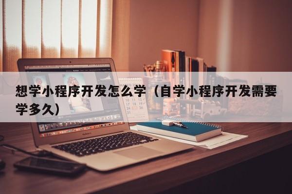 想学小程序开发怎么学(自学小程序开发需要学多久)