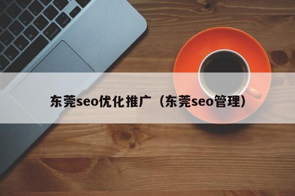 东莞seo优化推广(东莞seo管理)