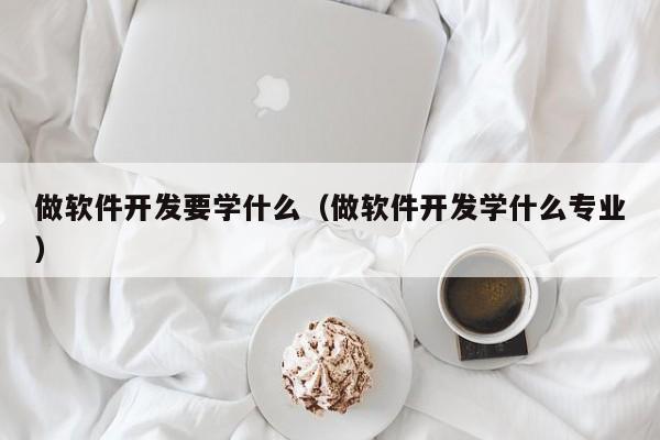 做软件开发要学什么(做软件开发学什么专业)