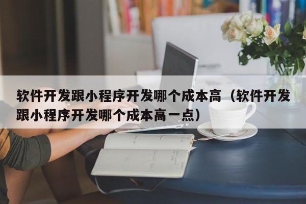 软件开发跟小程序开发哪个成本高(软件开发跟小程序开发哪个成本高一点)