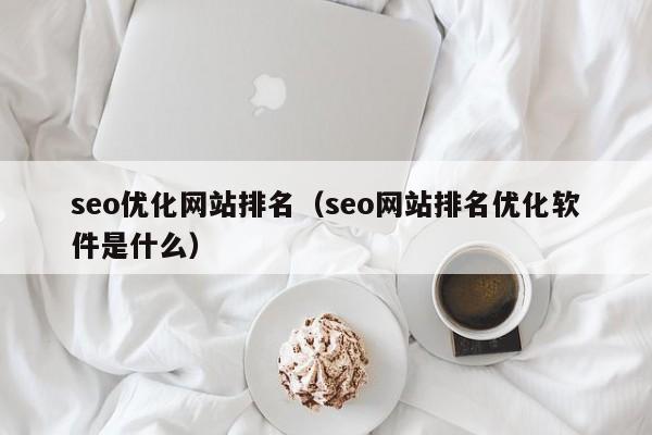 seo优化网站排名(seo网站排名优化软件是什么)