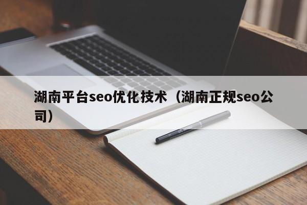 湖南平台seo优化技术(湖南正规seo公司)