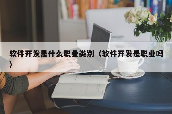 软件开发是什么职业类别(软件开发是职业吗)