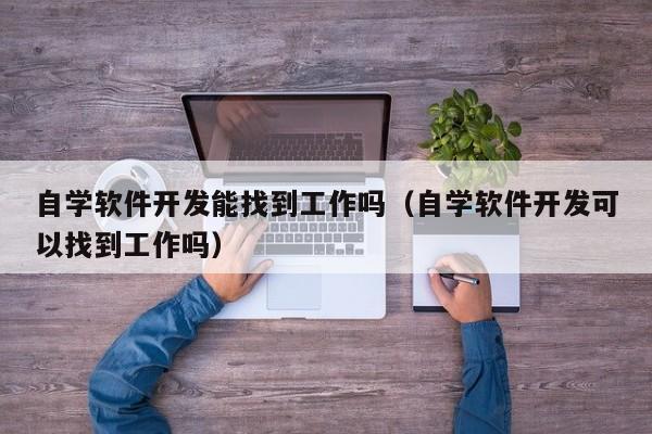 自学软件开发能找到工作吗(自学软件开发可以找到工作吗)