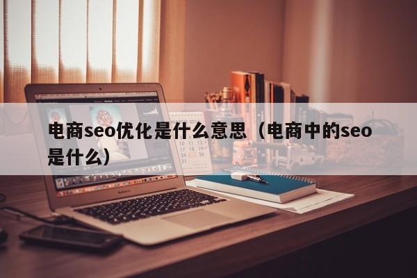 电商seo优化是什么意思(电商中的seo是什么)