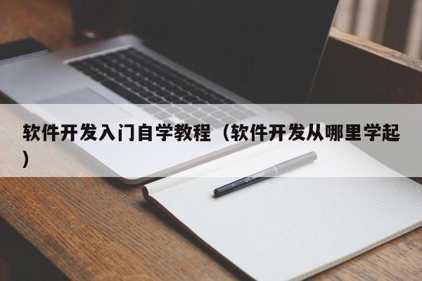 软件开发入门自学教程(软件开发从哪里学起)