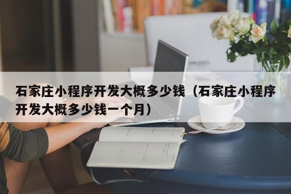 石家庄小程序开发大概多少钱(石家庄小程序开发大概多少钱一个月)