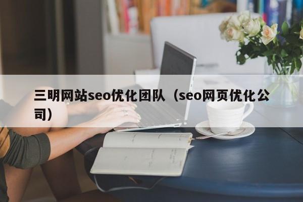 三明网站seo优化团队(seo网页优化公司)
