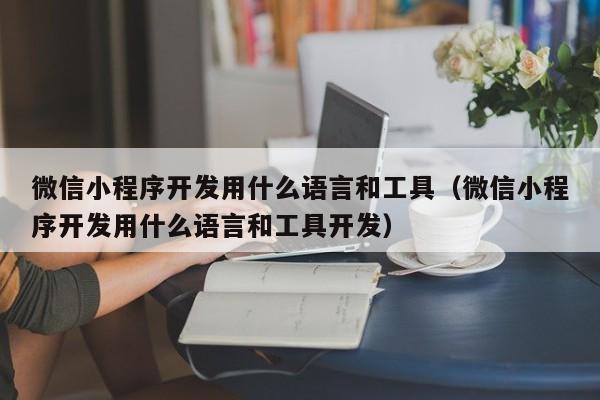 微信小程序开发用什么语言和工具(微信小程序开发用什么语言和工具开发)