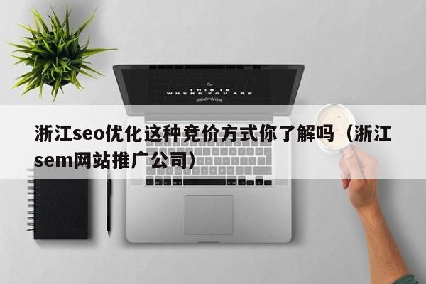 浙江seo优化这种竞价方式你了解吗(浙江sem网站推广公司)