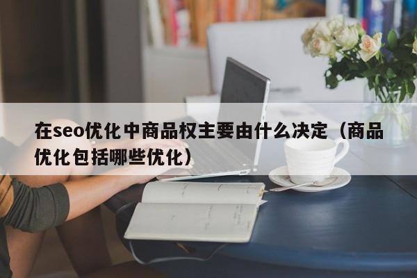 在seo优化中商品权主要由什么决定(商品优化包括哪些优化)