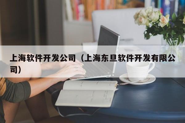 上海软件开发公司(上海东旦软件开发有限公司)