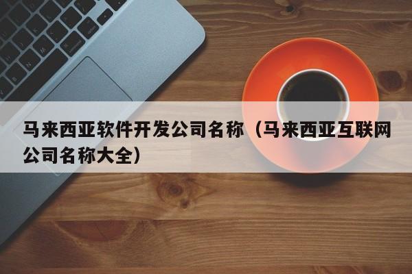 马来西亚软件开发公司名称(马来西亚互联网公司名称大全)