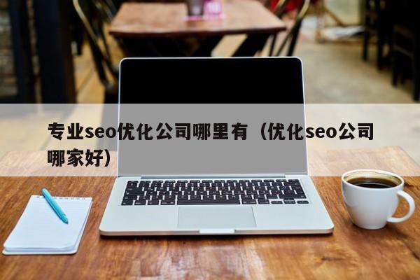 专业seo优化公司哪里有(优化seo公司哪家好)