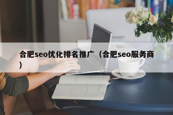 合肥seo优化排名推广(合肥seo服务商)