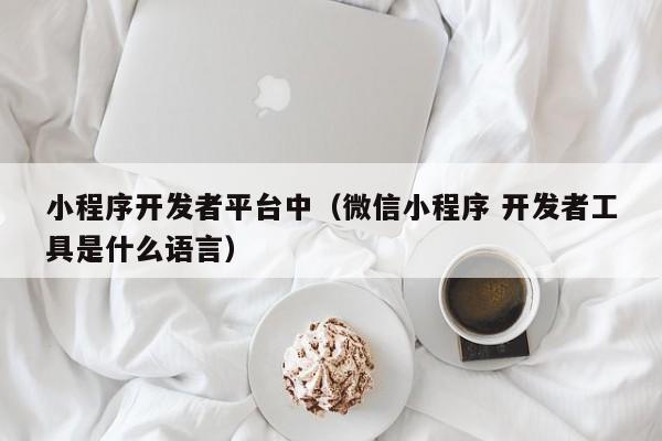 小程序开发者平台中(微信小程序 开发者工具是什么语言)