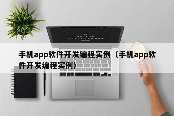 手机app软件开发编程实例(手机app软件开发编程实例)