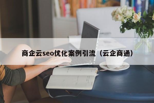 商企云seo优化案例引流(云企商通)