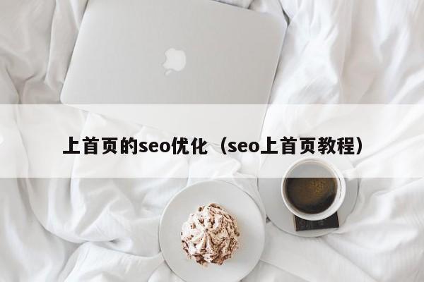 上首页的seo优化(seo上首页教程)