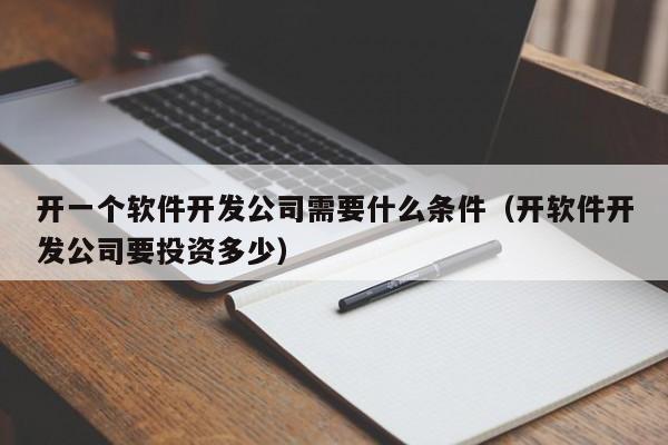开一个软件开发公司需要什么条件(开软件开发公司要投资多少)