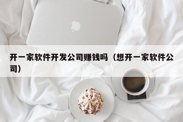 开一家软件开发公司赚钱吗(想开一家软件公司)