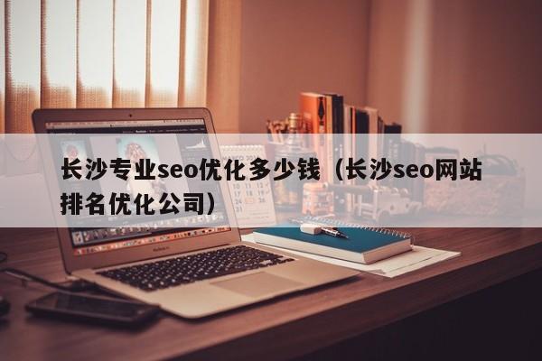 长沙专业seo优化多少钱(长沙seo网站排名优化公司)