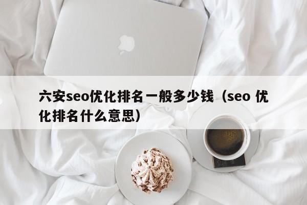 六安seo优化排名一般多少钱(seo 优化排名什么意思)