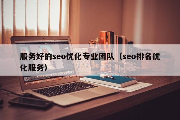 服务好的seo优化专业团队(seo排名优化服务)