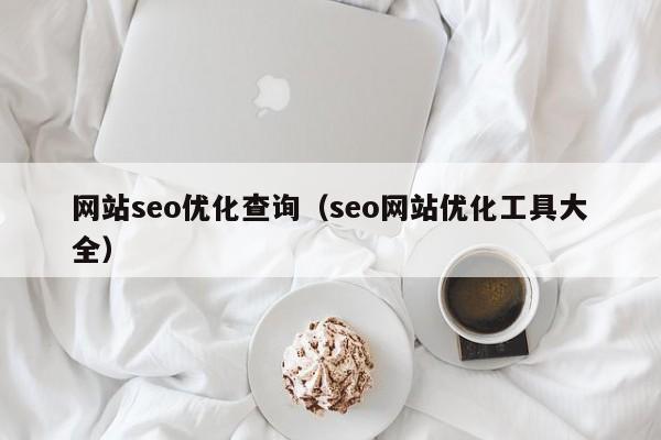 网站seo优化查询(seo网站优化工具大全)